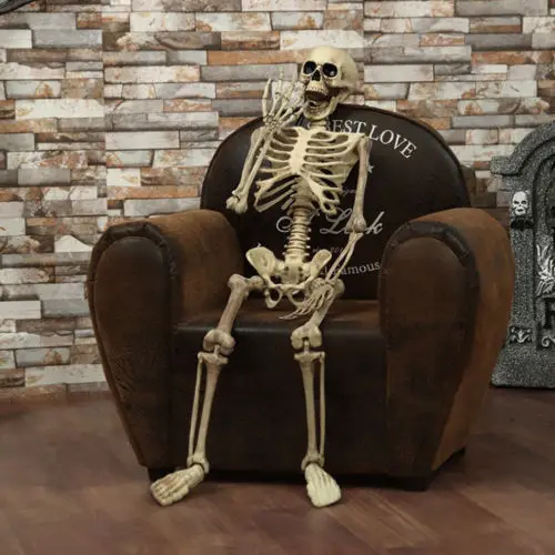 

Halloween Prop Human.Skeleton Full Size Skull Hand Life Body Anatomy Model Decor