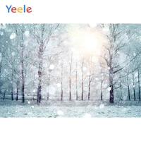 winter snow forest snowflake sunlight home decoration backdrop photography custom photographic background for photo studio