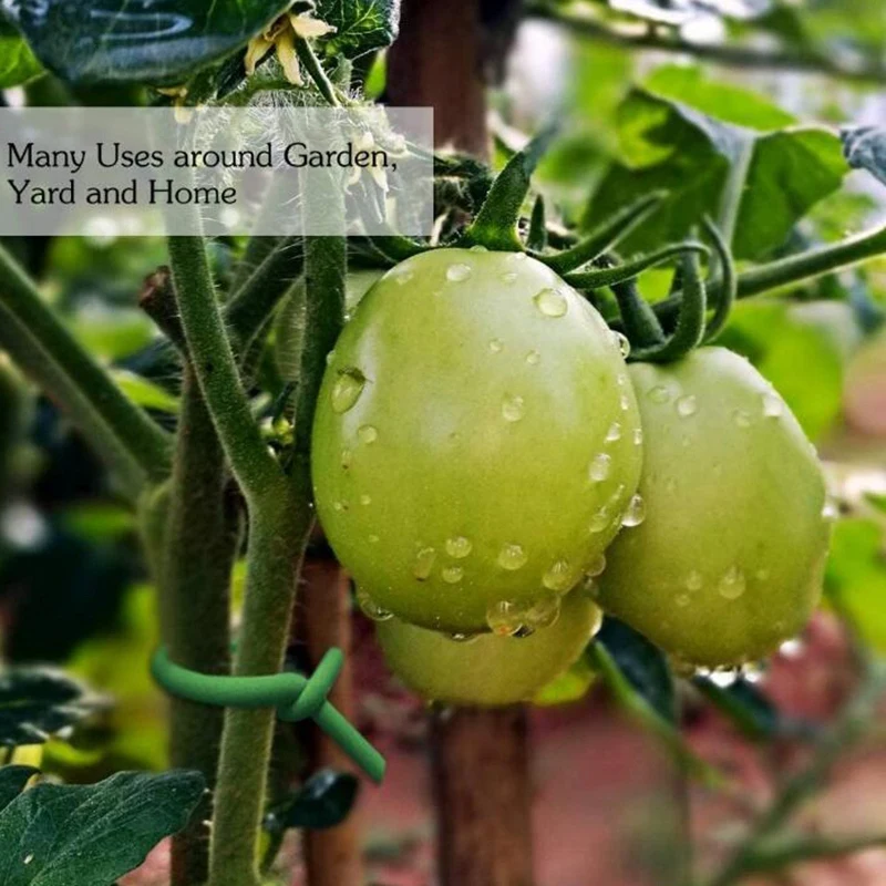 

3.0mmx10M Soft Cable Tie Garden Bandage Flower and Tree Cable Tie Gardening Supplies Suitable for Gardening,Home, Office