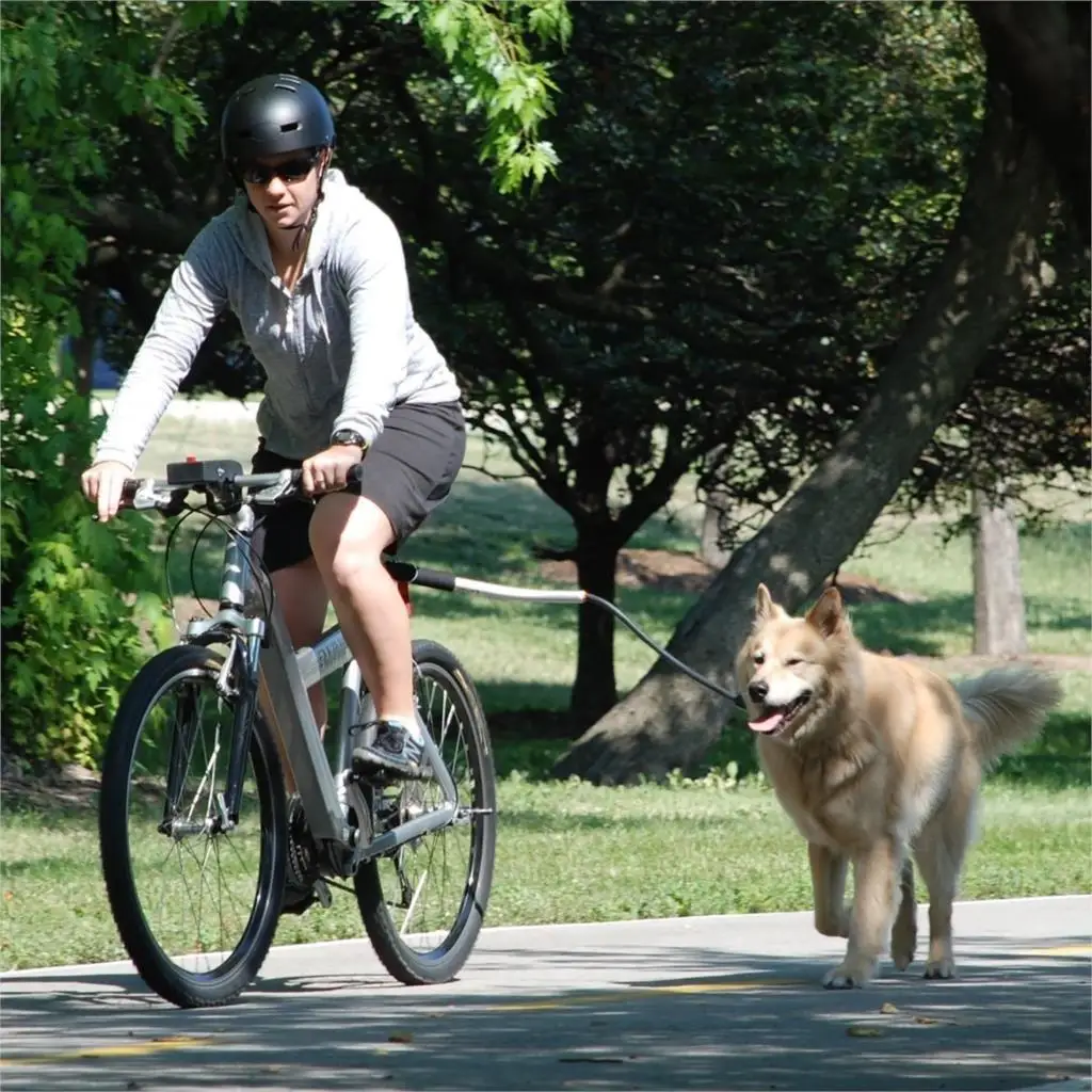 

Dog Bike Leash Attachment Quick Release Hands Free Leash Bicycle Dog Exerciser