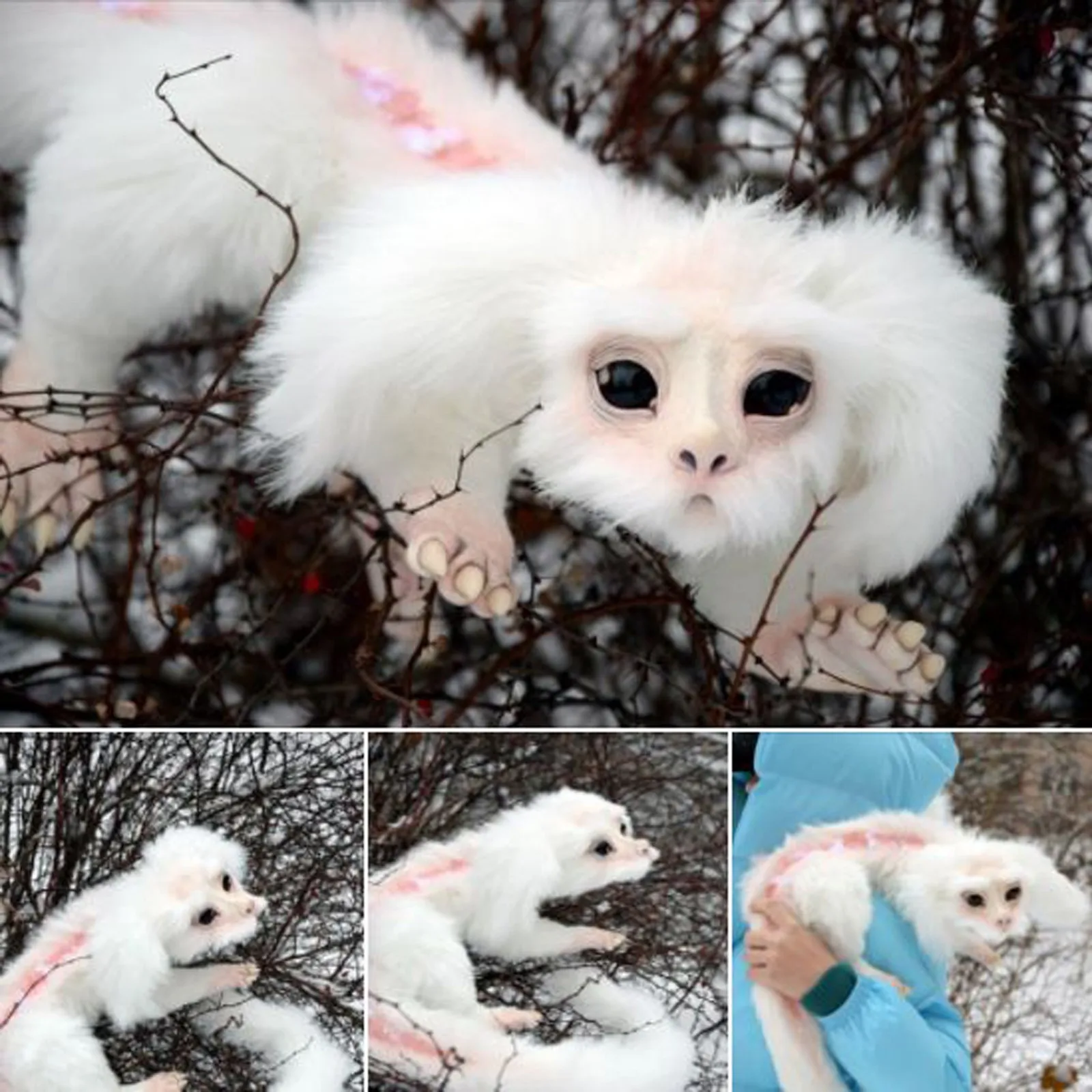 

Falkor из неистовчивой истории, плюшевая кукла, игрушки, подарок для детей и поделок