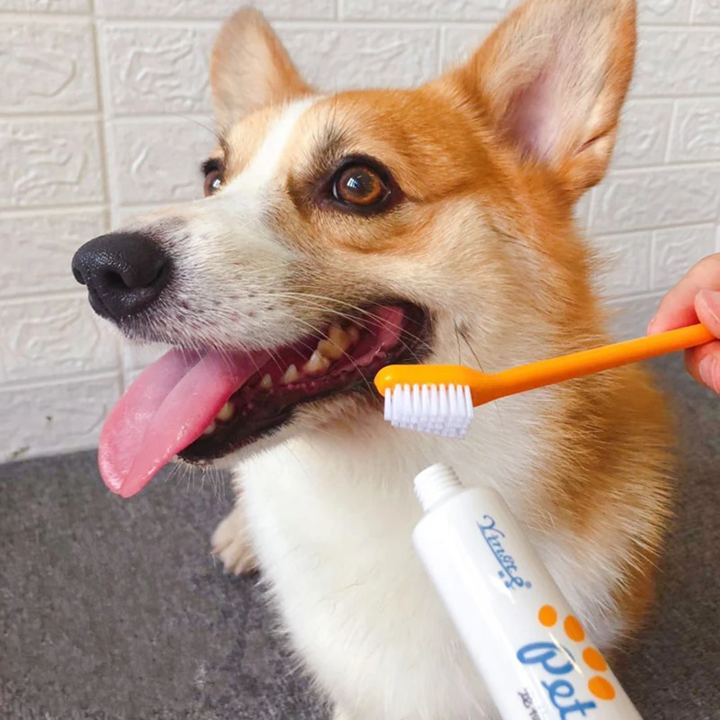 Зубная щетка для собак и кошек пищевая зубная паста со вкусом говядины ванили
