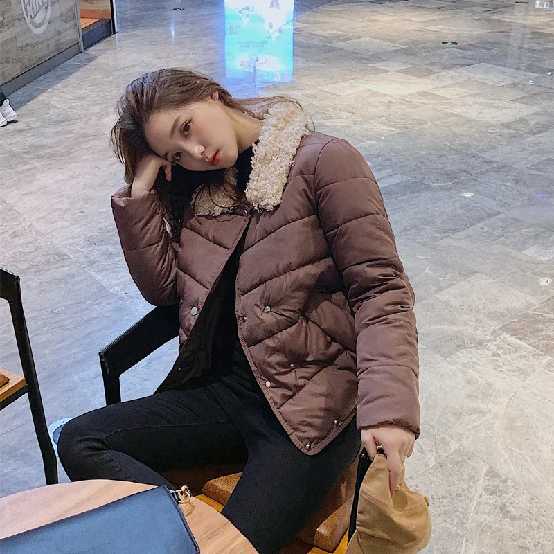 Шикарное короткое пальто из овечьей шерсти с воротником для пекарни зимнее