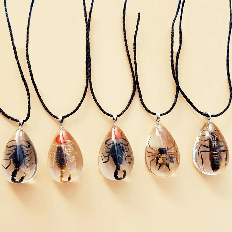 

Natural Insect Stone Natural Scorpion Amber Baltic Pendant Necklace Special Gift