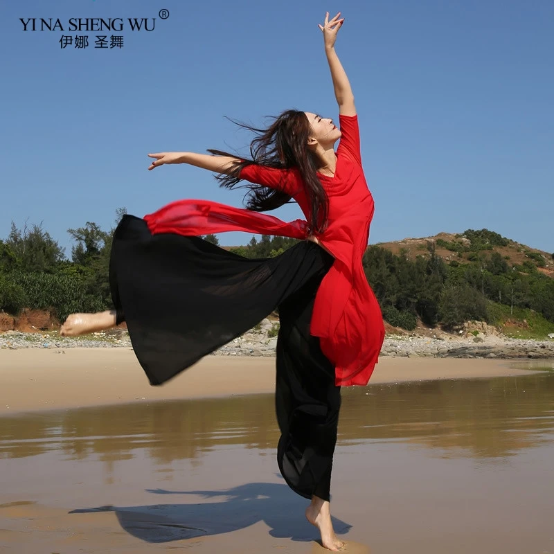 Новейшая одежда для занятий танцами живота танцевальный топ + штаны костюм танца