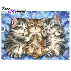 Алмазная мозаика с кошками для детей и детей, 4Y427