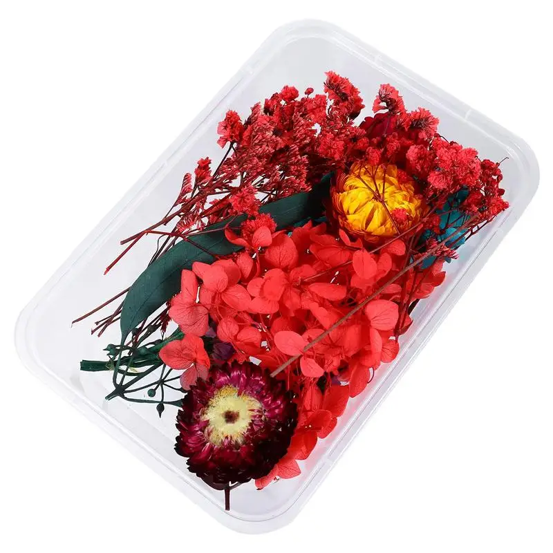 

1 Box DIY Real Natural Flowers Assorted Dried Flower Materials for DIY Crafts