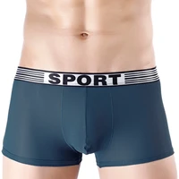 mans underwear mesh boxer ice silk sexy ultra thin jockstrap male underpants low waist mens boxer panties boxershorts