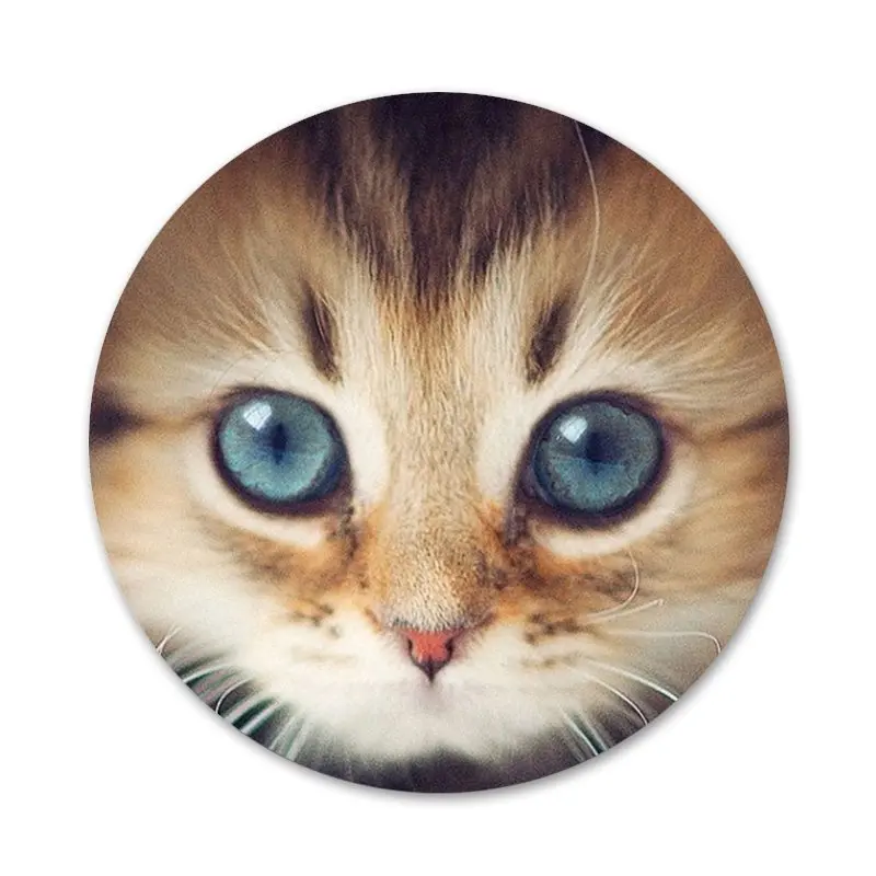 Значок с кошачьими глазами для украшения одежды и рюкзака | Дом сад