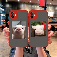 cute little pink pet pig phone case for iphone 12 11 pro mini max xs x 8 7 plus se 2020 xr matte transparent light red cover