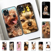 yinuoda yorkshire terrier dog phone case for iphone 11 12 pro xs max 8 7 6 6s plus x 5s se 2020 xr case