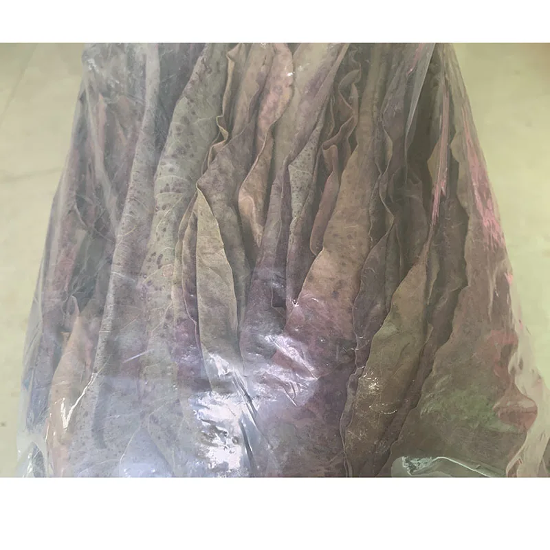 

500PCS/1000PCS Almond Leaf Natural Terminalia Catappa Leaves Aquarium Decor For Cleaning Water Treatmen
