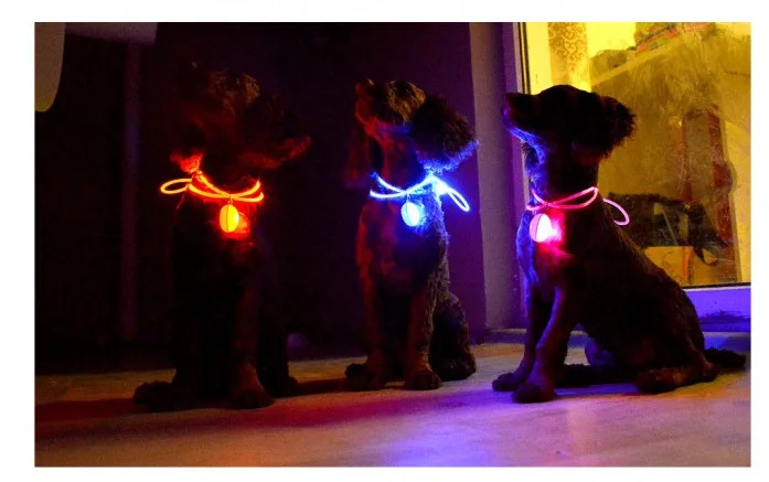 

LED Flashing Luminous Charm for Dogs Cats Prevent Lost Dog Tag