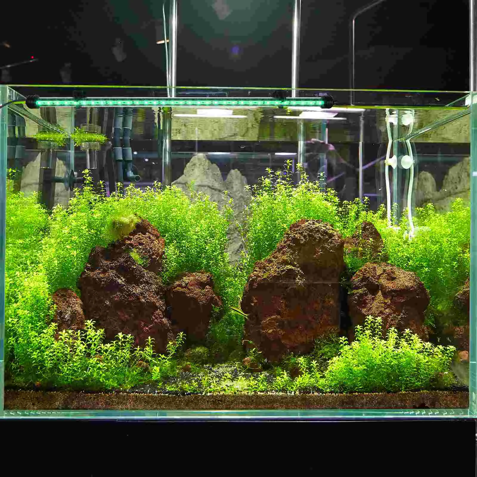 

Светодиодный светильник для аквариума, водонепроницаемый ландшафтный светильник для аквариума, RGB светильник (вилка)