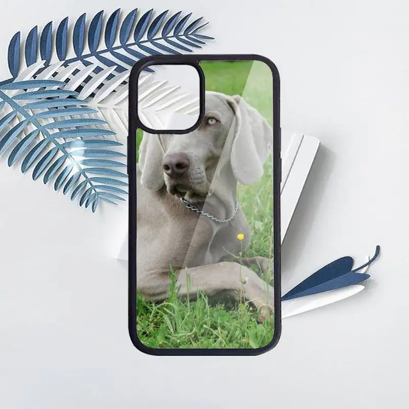 

Weimaraner dog Phone Case for iPhone 11 12 pro XS MAX 8 7 6 6S Plus X 5S SE 2020 XR Hard PC