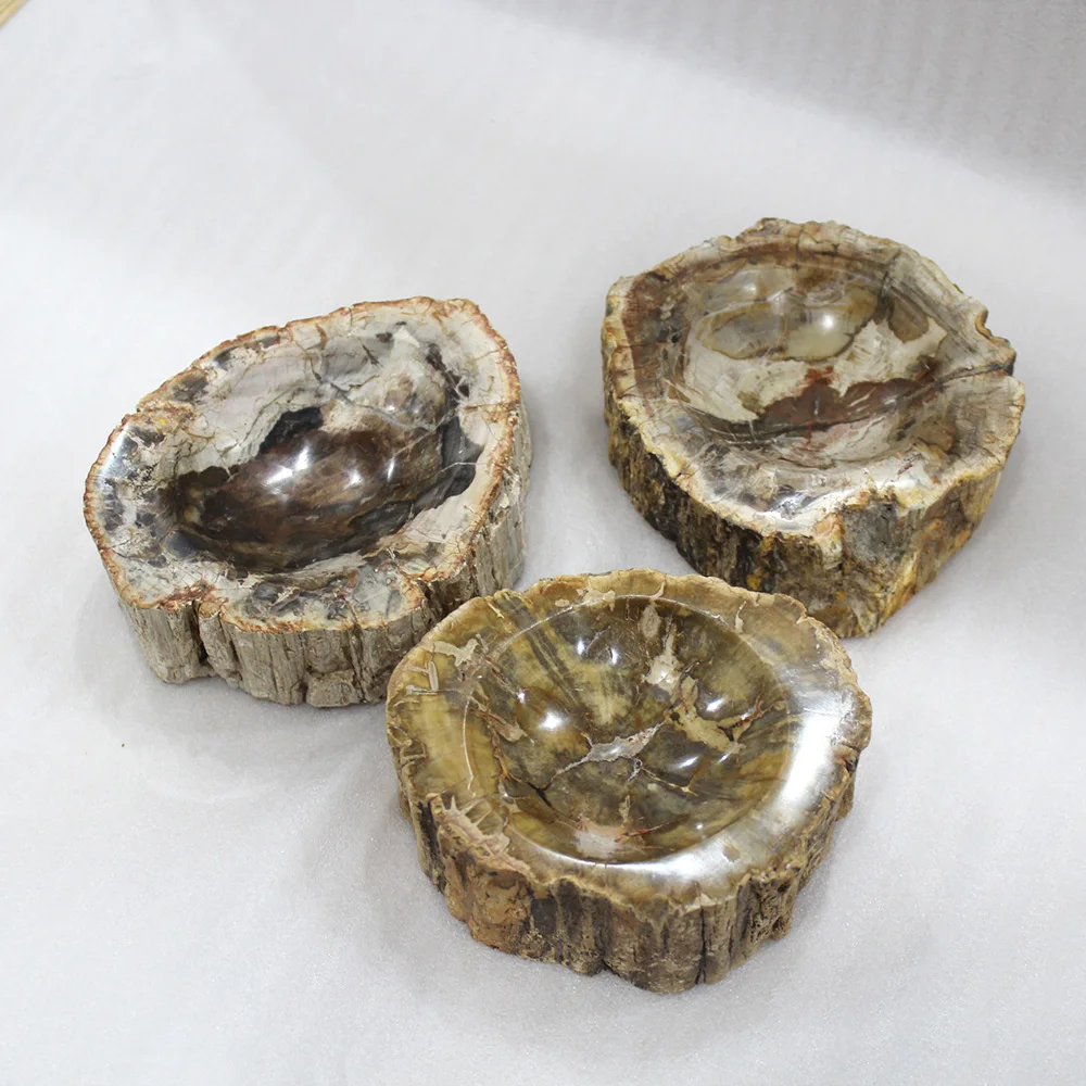 Runyangshi 1pc Beautiful natural wood fossil hand carved polished ashtray | Дом и сад