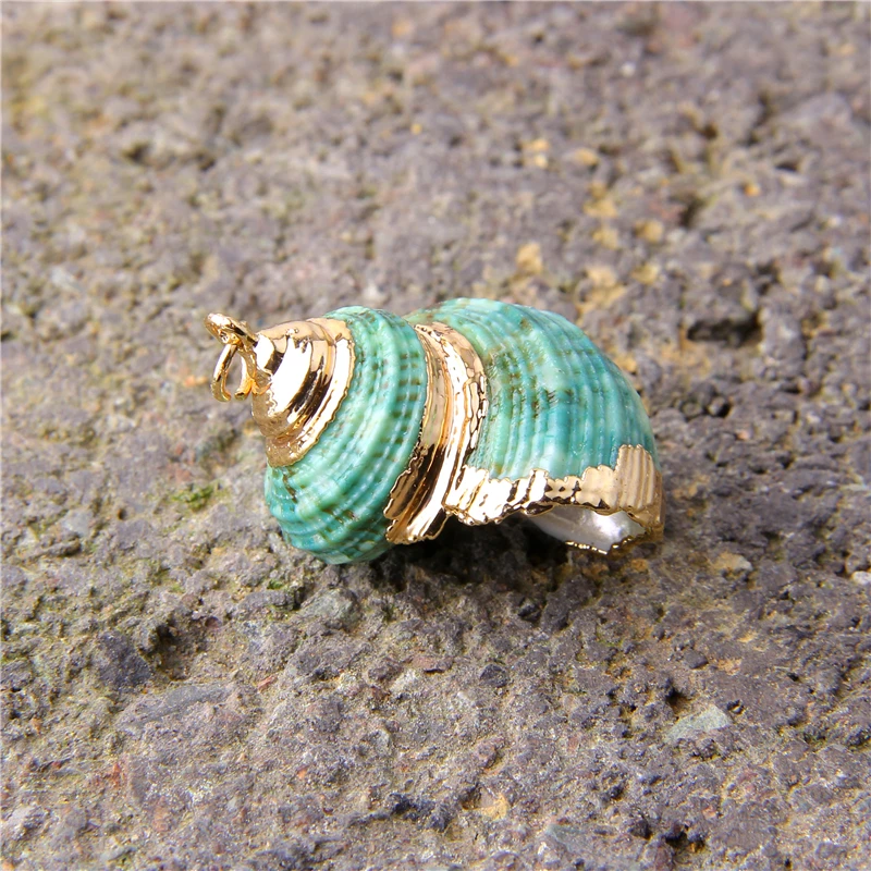 5 шт. случайные ювелирные изделия из ракушек натуральный зеленый раковины кулон с
