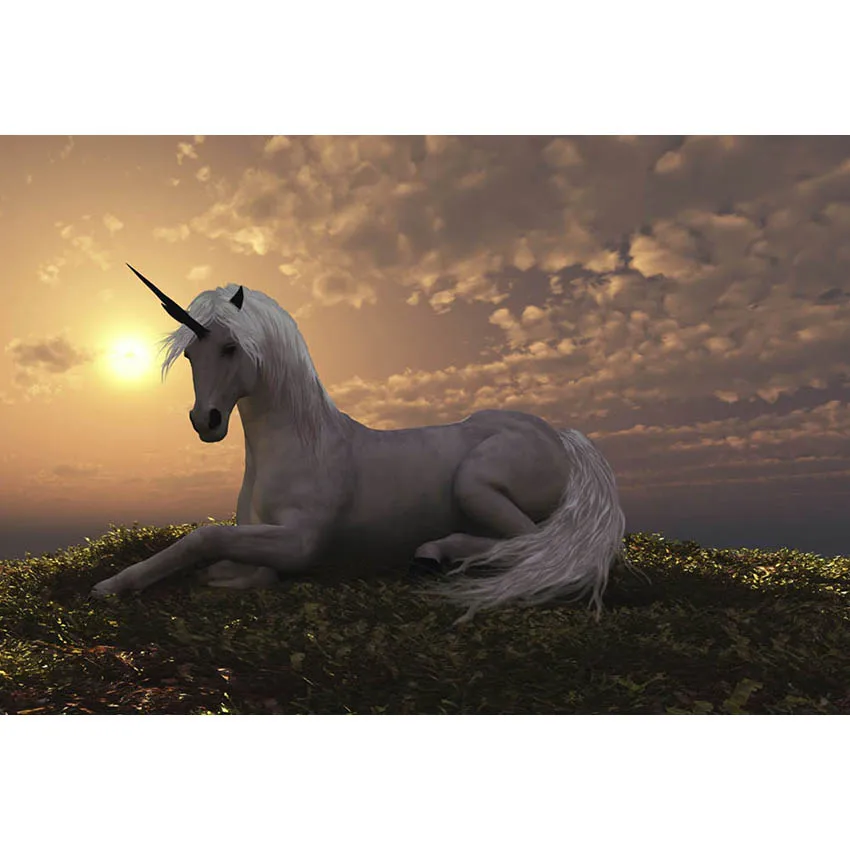 

7x5ft Beautiful White Horse Unicorn Sunset Landscape Clouds Custom Photo Studio Background Backdrop Vinyl Banner 220cm x 150cm