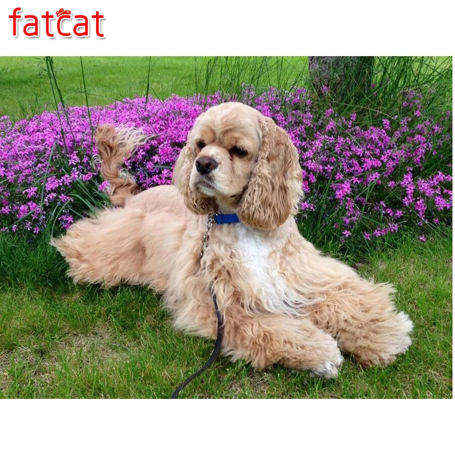 FATCAT DIY 5D квадратная Алмазная картина британский Кокер спаниель мозаика алмазная