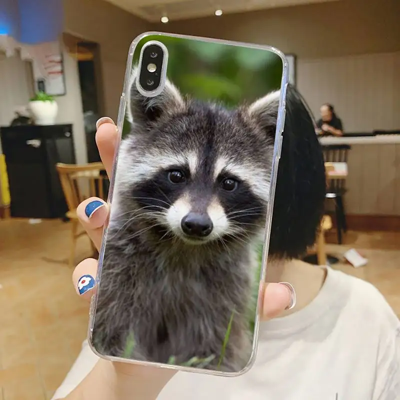 

Cute Animal Raccoon Phone Case Transparent for iPhone 6 7 8 11 12 s mini pro X XS XR MAX Plus