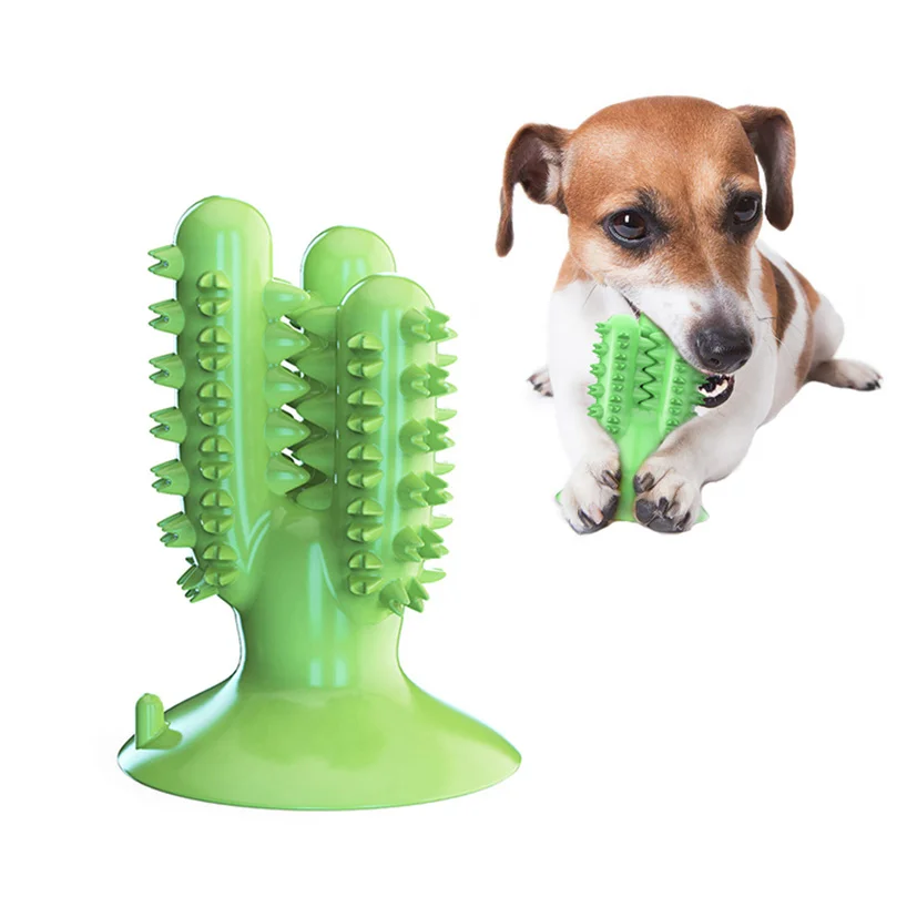 

Dog bite toys, dog toothbrushes, fresh and healthy tooth cleaning, large variety of dog toothpicks, pet supplies