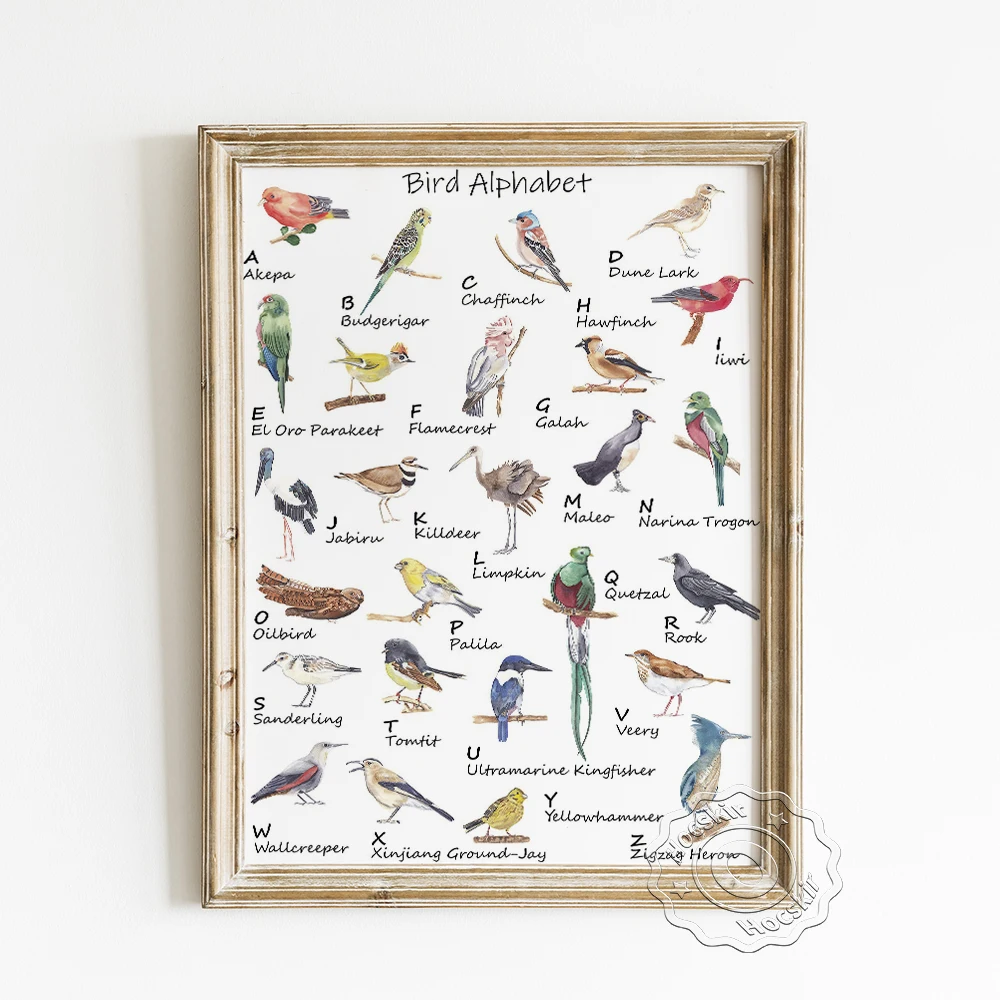 

Animal Alphabet Elementary Education Poster, Watercolor Bird Study ABC Art Prints, Play Room Kids Room Nursery Canvas Wall Decor