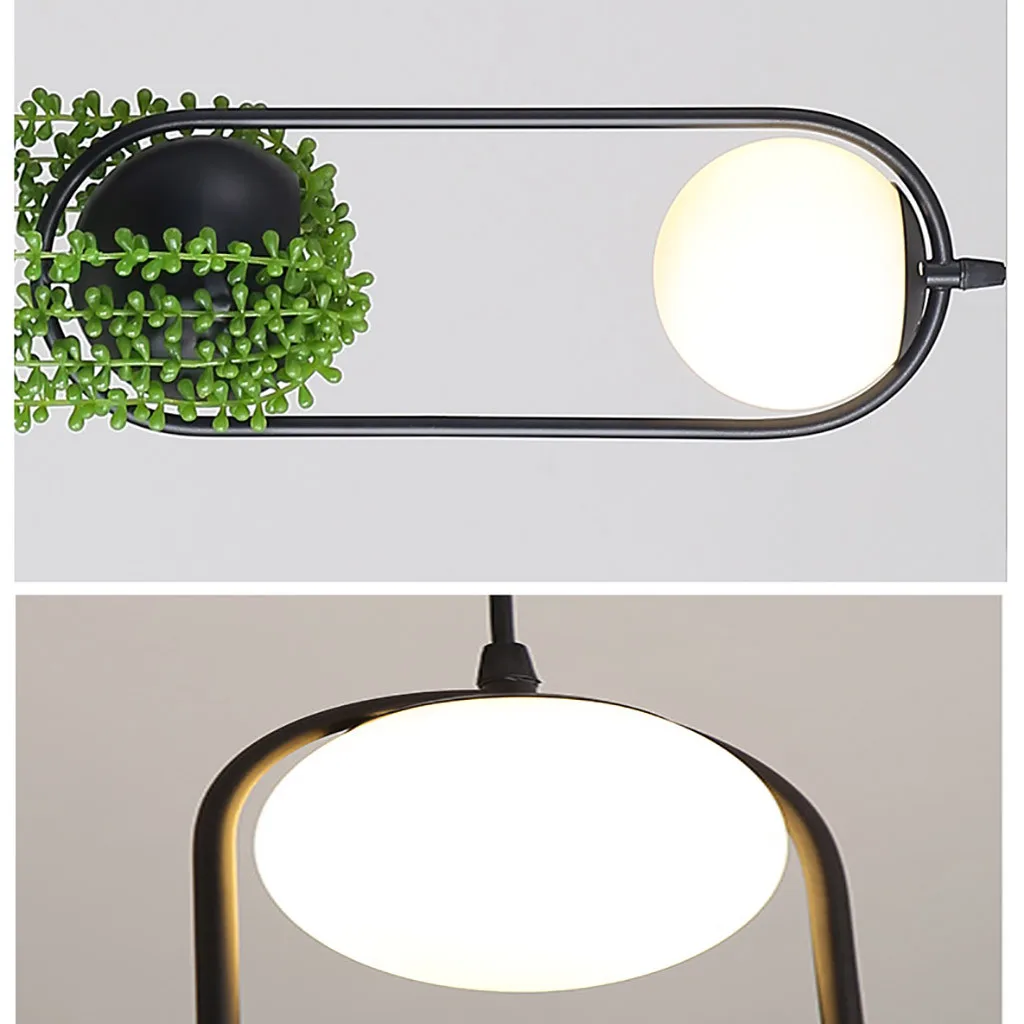 Северное растение люстра цветочный горшок красивый сад под открытым небом