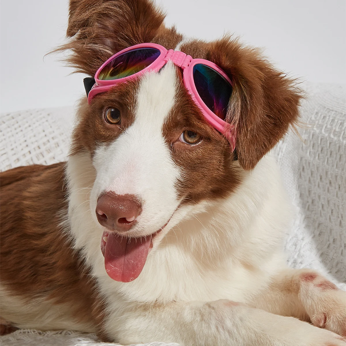 

Dog Sunglasses Pet Glasses, Adjustable Head and Chin Straps, Eye Wear Protection for Small to Medium Dog