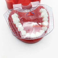 1pcs dental lab dental guide plate teeth arrangement on denture work dental equipment