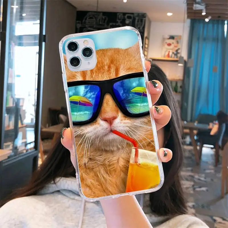 

Cute Animal Cat Phone Cases Transparent for iPhone 6 7 8 11 12 s mini pro X XS XR MAX Plus
