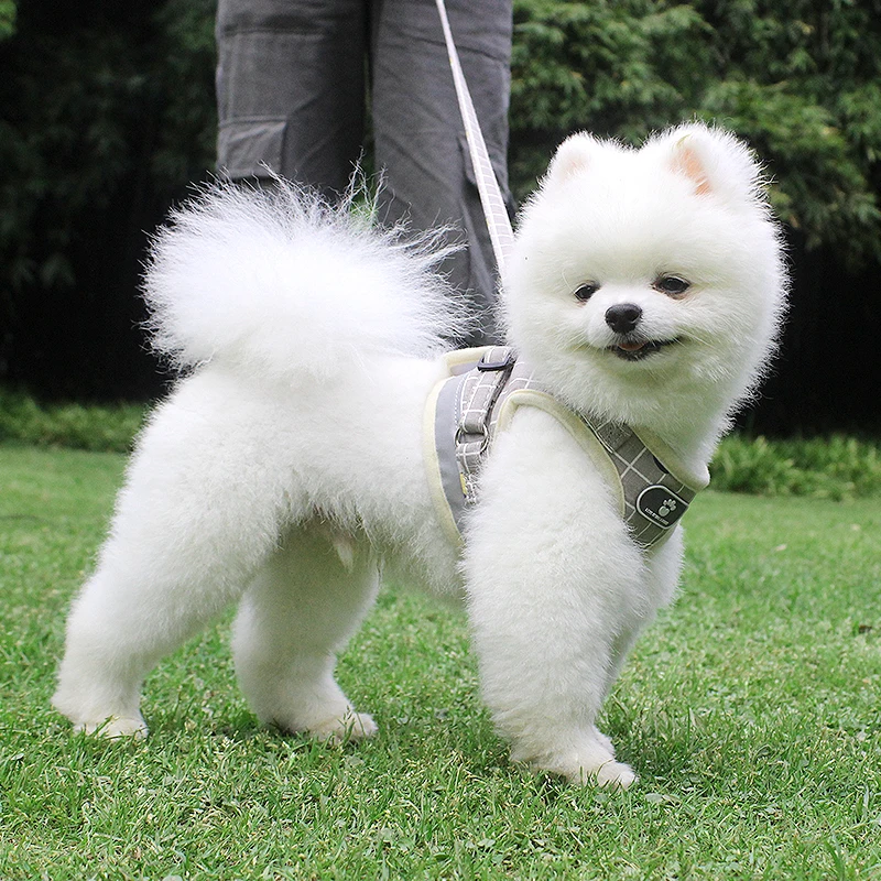 

Breathable Dog Traction Rope Reflective Plaid Chest Strap Vest Pet Accessories For Spring And Summer