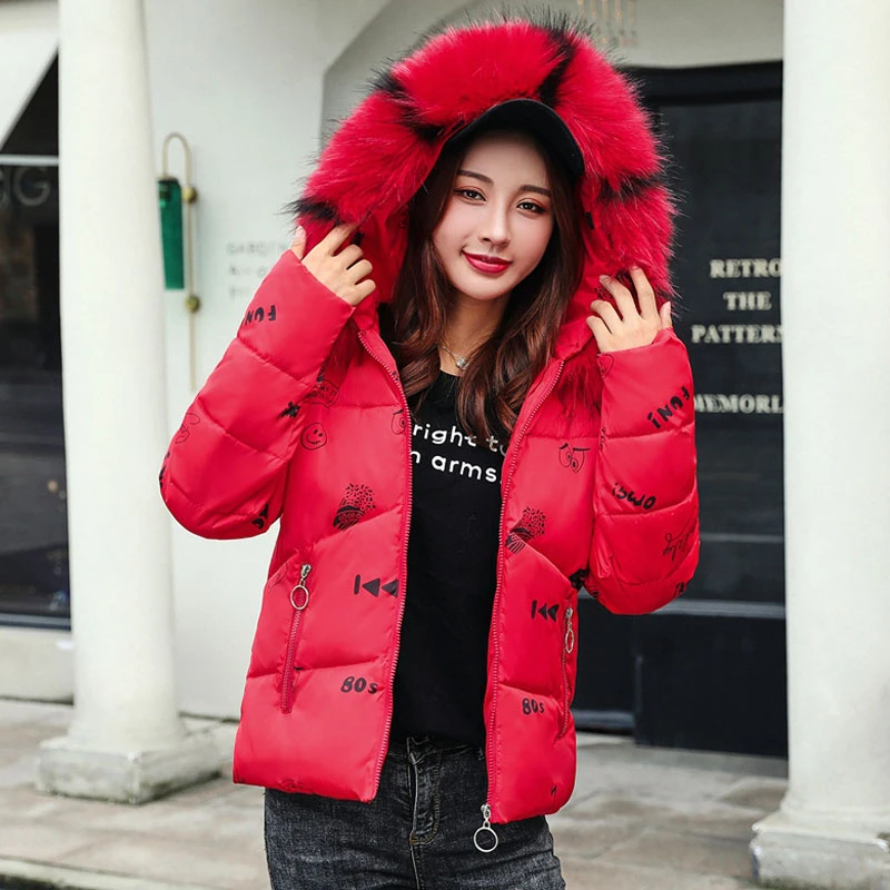 2019 Новое поступление короткая зимняя куртка для женщин с капюшоном мехом Модная
