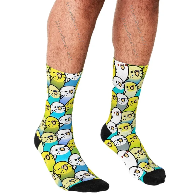 

Men's Funny socks Bunches of Budgies Printed Socks harajuku Men Happy hip hop Novelty cute boys Crew Casual Crazy Socks for men