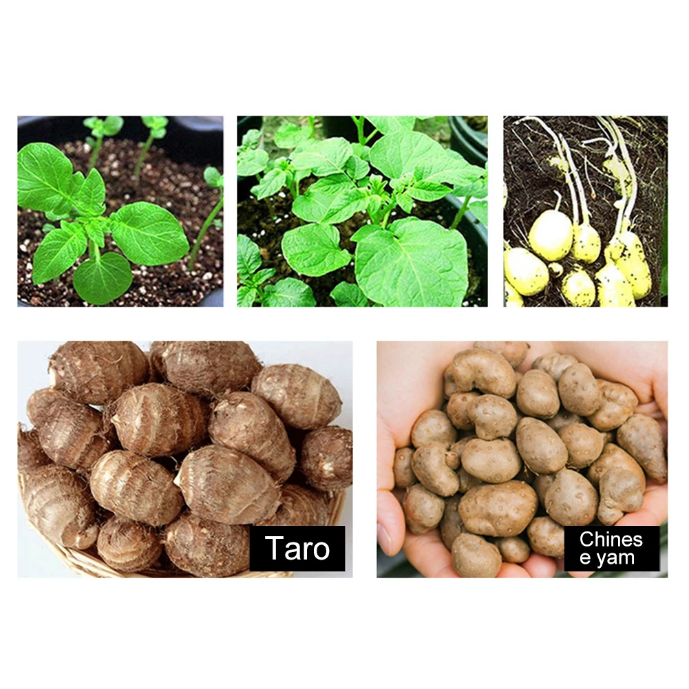 DIY Вертикальный садовый мешок для растений мешки рассады домашний горшок