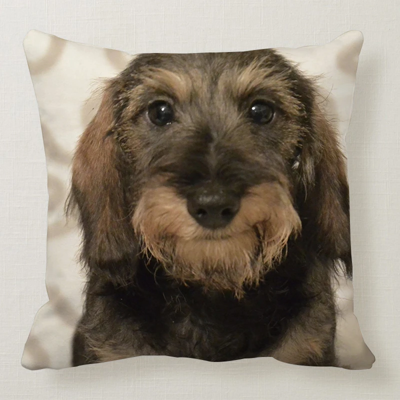 1 шт. 45*45 см милая собака подушка чехол Wirehaired подушки с таксой диван кровать автомобиль подушка чехол Спальня украшение в виде таксы Подушка бухта