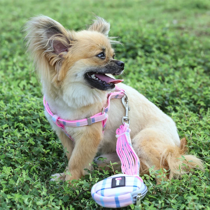 Поводок поводок для собак регулируемый двухслойный прочный|Портупеи| |