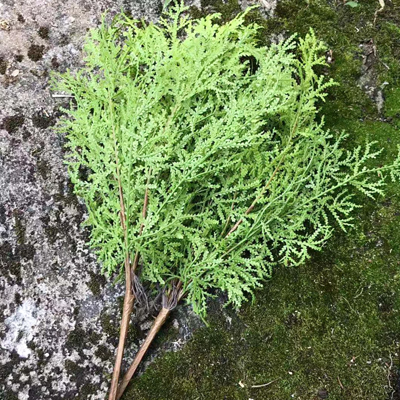 Искусственные зеленые листья кипариса сосны ветки украшение на Рождество