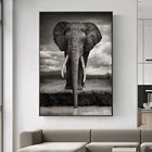 Креативные настенные картины в скандинавском стиле со слоном, печать на холсте, художественные принты с животными, черно-белые животные, настенные картины для гостиной