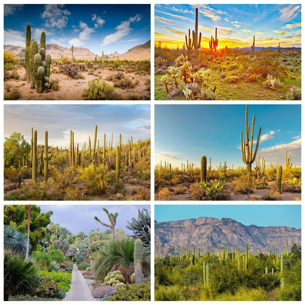 

Laeacco Cactus Desert Shrub Hillside Blue Sky Cloudy Natural View Photo Backgrounds Photography Backdrops For Photo Studio