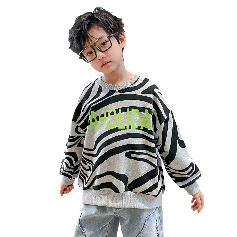 

O Neck Spring Autumn Boys Sweatshirts KidsOutwear Teenager Tops Children Clothing Cotton Pullover Home School High Quality