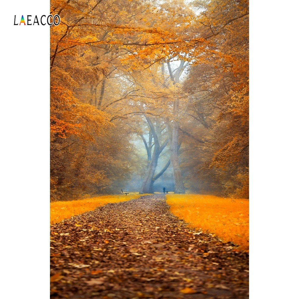 Laeacco осенние туманные желтые листья деревья дорога живописные фотографии фоны