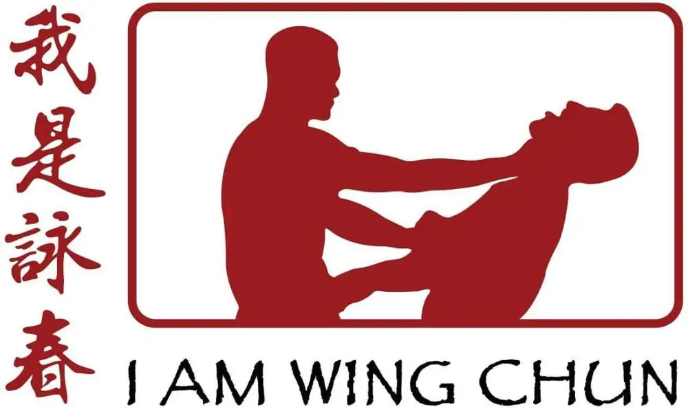 

I am wing chun любой спортивный логотип или логотип бренда музыкальный флаг на заказ 3x5 футов флаг баннер