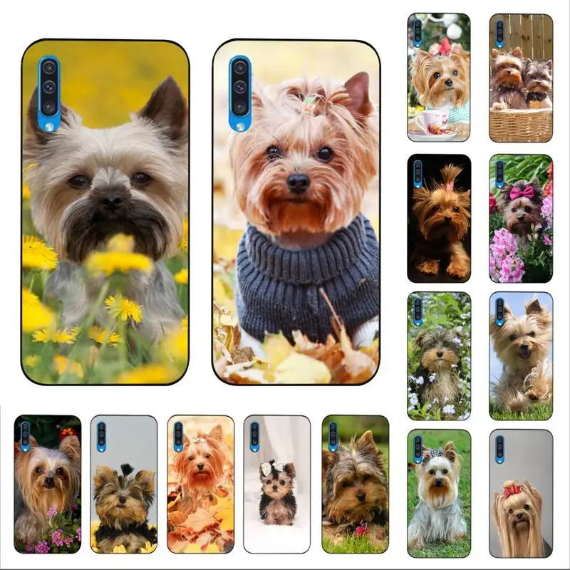 

MaiYaCa Yorkshire terrier dog Phone Case for Samsung A51 01 50 71 21S 70 10 31 40 30 20E 11 A7 2018