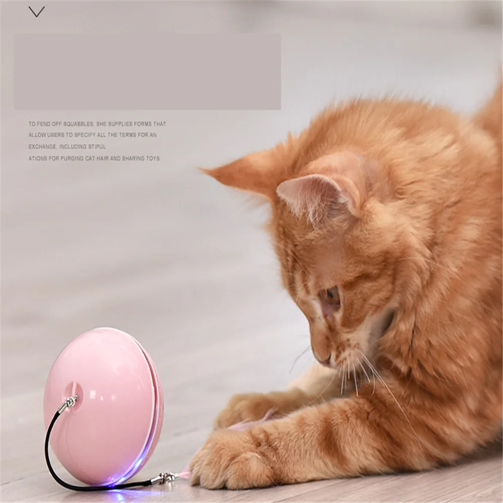 Светильник дешевые мягкие манеж для игры со складной кошачья мята травы кошки Hierb