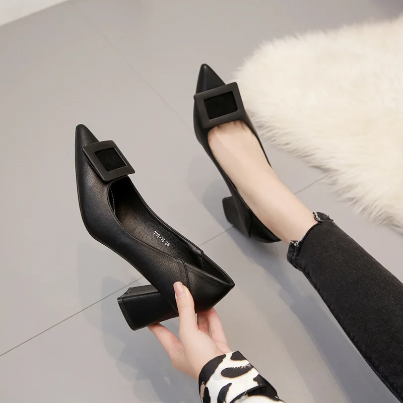

Elegant High Heels Sexy Fashion Formal Women Shoes Pointed Toe Pumps Party Shoes for Women Block Heels Mules Femme Escarpins