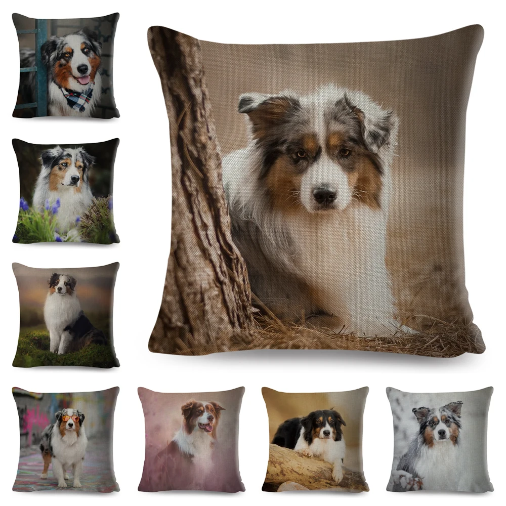 

Австралийская овчарская подушка, чехол для дивана, домашний интерьер для комнаты, декор для домашних животных, собака, Чехол 45*45 см