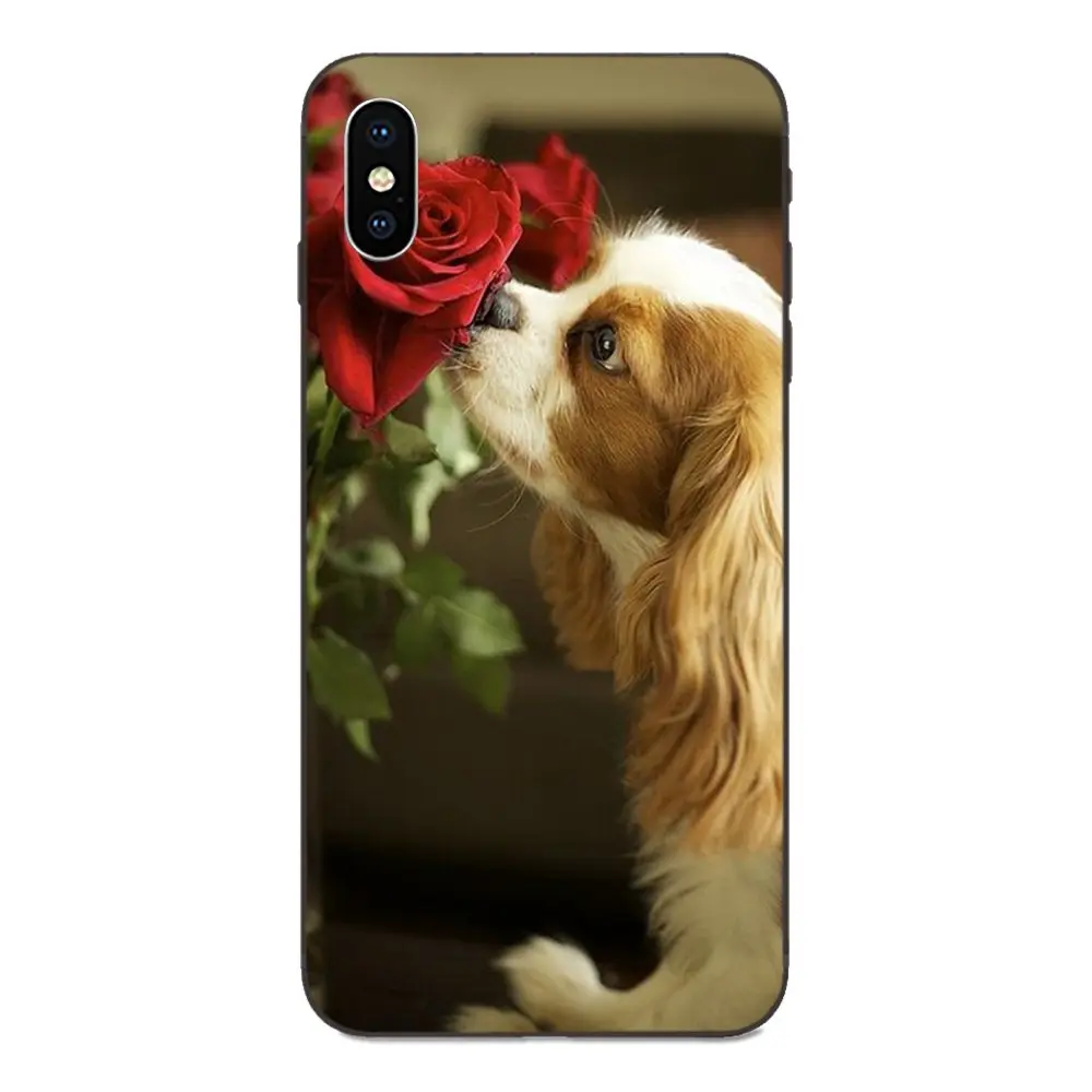 Кавалер король Шарль спаниель собака для Apple iPhone 4 4S 5 5S SE 6 6S 7 8 11 Plus X XS Max XR Pro мягкий