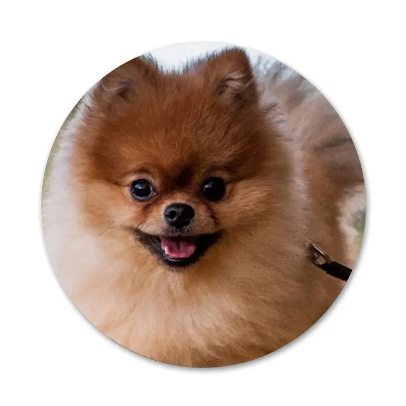 Своего померанского шпица значок с собакой брошь заколка аксессуары для одежды