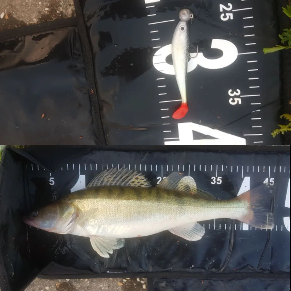 3 шт. силиконовые рыболовные приманки 12 см г | Спорт и развлечения