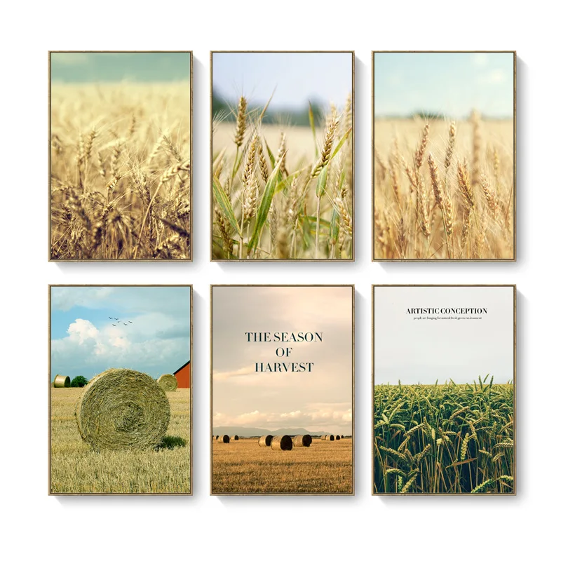 

Современный минималистичный домашний декор для гостиной, картина пшеничное поле, пейзаж, ресторан, отель, квартира, висячий постер, настенн...